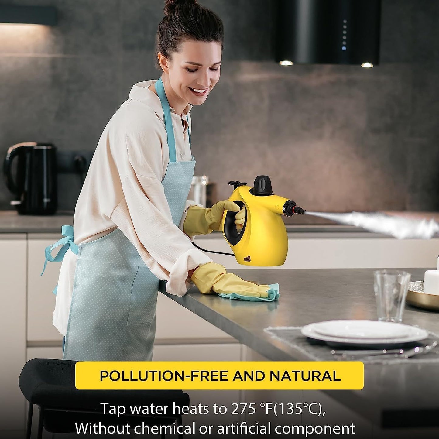 Handheld Steam Cleaner 12-in-1